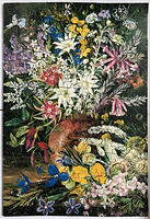 250pc Wild Flowers of Blue Mountains by Marianne North, Kew Gardens Club