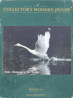 Swan (Box).JPG
