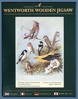 Thorburn's Birds
