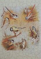 Titmouse Family, The
