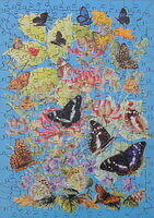 Woodland Butterflies.JPG