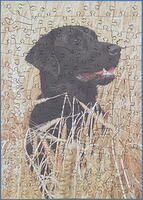 Corn Dog (Zimba)