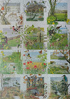 Wildlife Calendar Series by Peter Barrett cut Meredith Worsfold