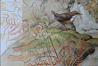 Detail 2