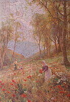 POPPIES.jpg